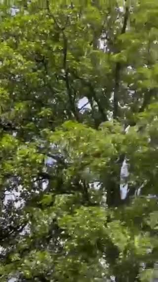 Přelet vojenských USA nákladních letadel přes ČR směr Ukrajina