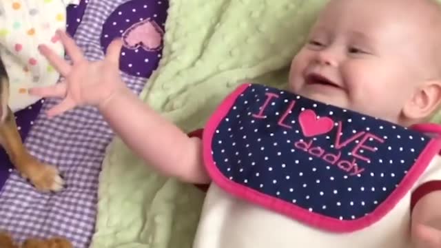 Puppies are kittens are incredible with little ones