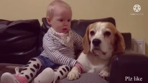 Dog Teaction the see us Aftar a long time