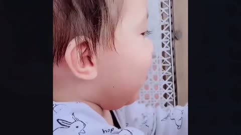 Funny Cute Babies