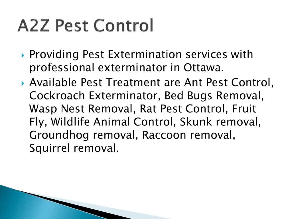 Pest Control Exterminator & Removal Treatment Company in Ottawa