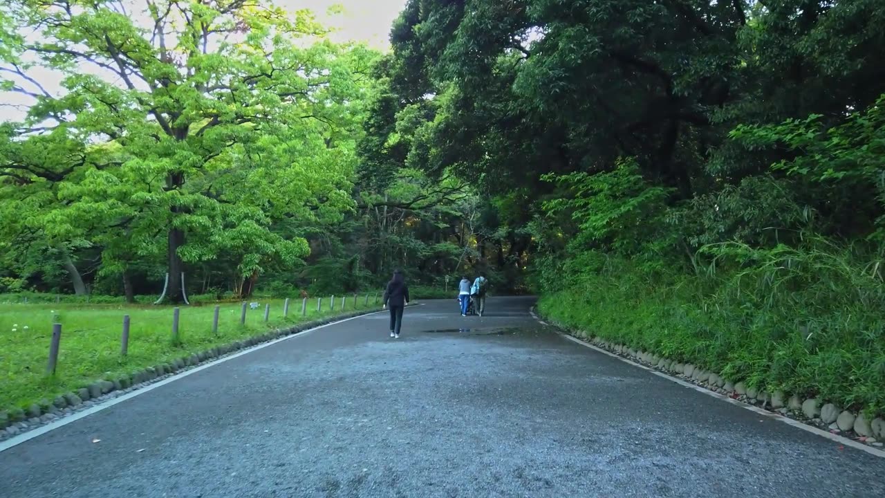 Meiji Jingu: A Tranquil Escape in the Bustling Metropolis