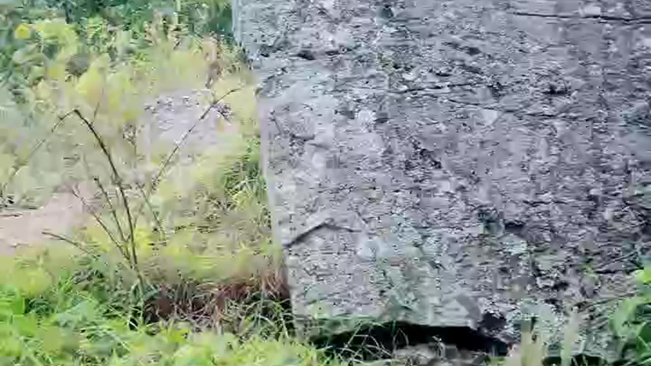 Buscando una casita donde acampar, PERDIDOS.