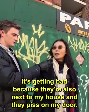 New Yorker Reacts to all the Illegals Coming In.