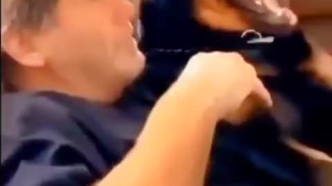 Dog mocking his owner