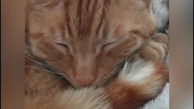 Sleeping because that is what I like most