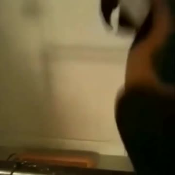 flowers and trees, expel the frustration