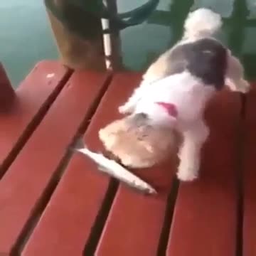 "Sometimes, I feel that the past and the future exert too much pressure on both sides,