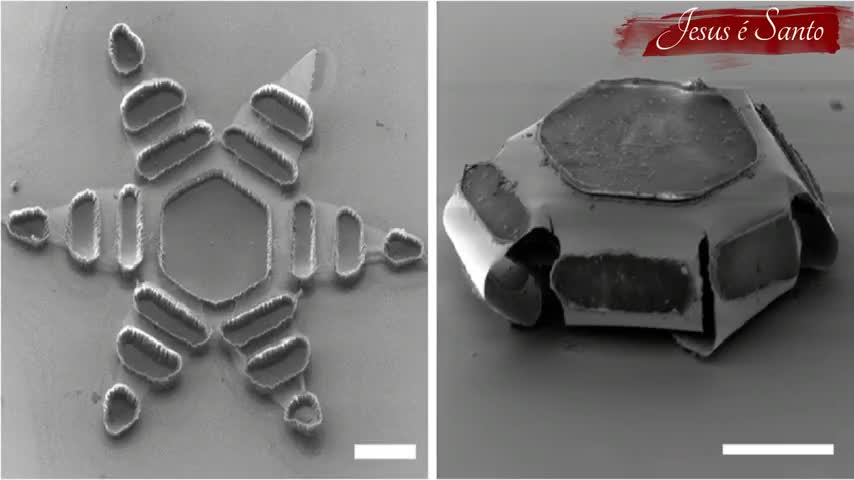 COMPONENTES DAS "VACINAS COVID-19" NOS TESTES PCR