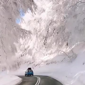 The Magic Of Winter In Snow Status Snowfall Video