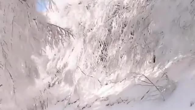 The Magic Of Winter In Snow Status Snowfall Video