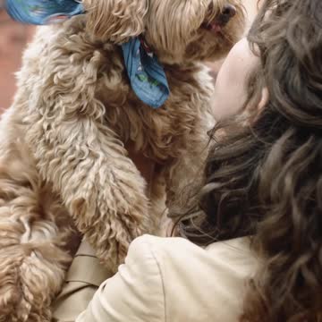 Cute Dog Kissing Her Owner