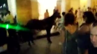 Nuevo desplome de caballos cocheros