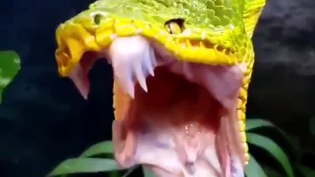 ugh what a terrible bastard😨