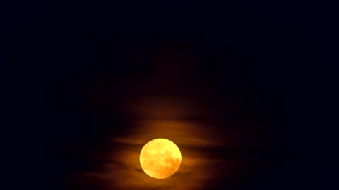 Full moon rising in the night sky