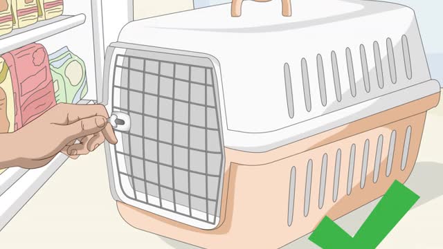 Necessary Supplies for your new Cat