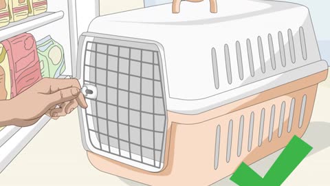 Necessary Supplies for your new Cat