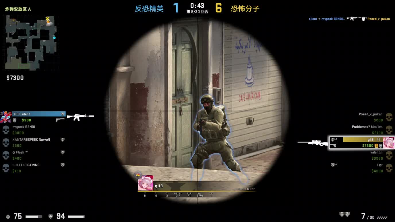 CS:GO II Counter-Strike_ Global Offensive -Killed