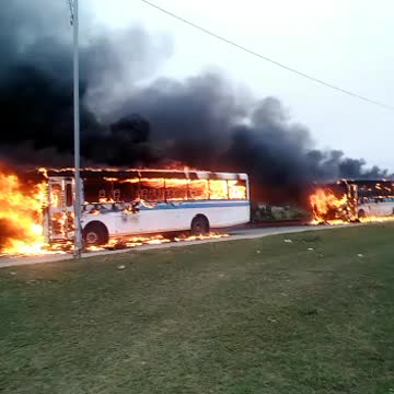 Only in South Africa!!!