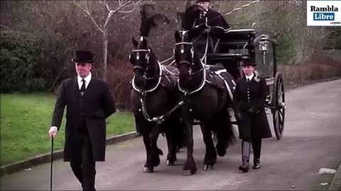 Revelaciones de un director de funeraria sobre la 'pandemia'