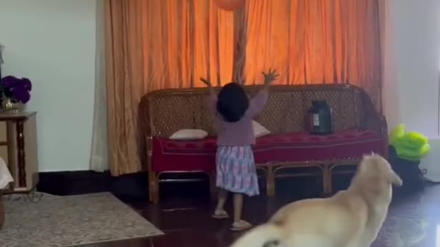 cat and Dog funny videos-funny videos-lol videos