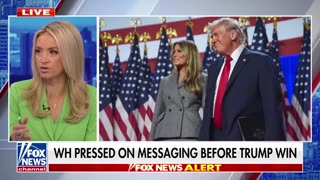 Kayleigh McEnany: Americans have ‘whiplash’ over anti-Trump rhetoric