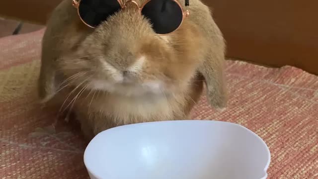 Are you this cool? I don't think so