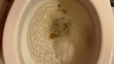 turd flush part 6