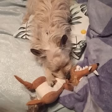 My cute Luna 🌷😻😍