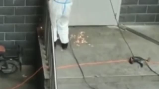 CCP Welds People Inside Their Apartments During Lockdowns