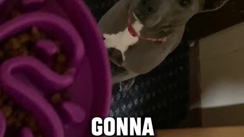 fed