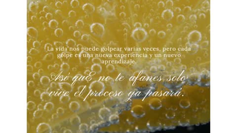 Reflexiones de vida.