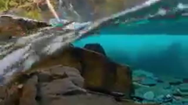Crystal Clear River