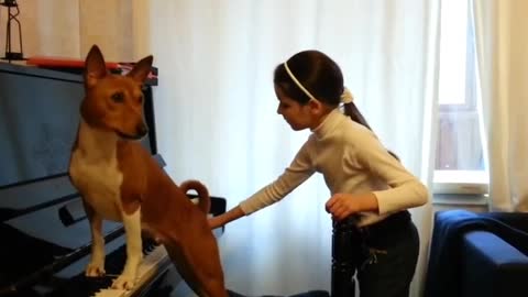 Dog Plays Piano and Sings