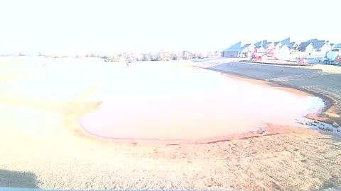 The Pond
