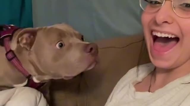 Bak like a dog