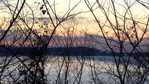 Sunset and sea and branches 7