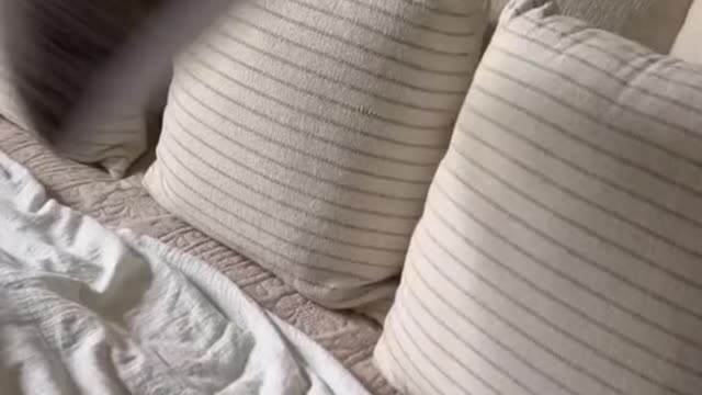 These sheets are SO soft & were the perfect foundation for my fall bedding makeover 🍂