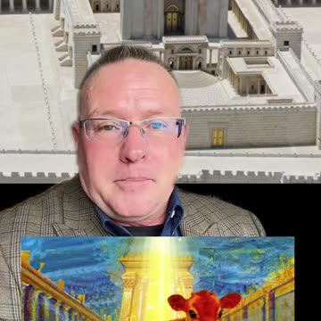 UPDATE ON THE RED HEIFER PURIFICATION SACRIFICE!