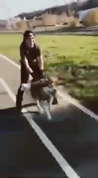 Cute And Funny Pets | Try Not To Laugh To These Pets Compilation