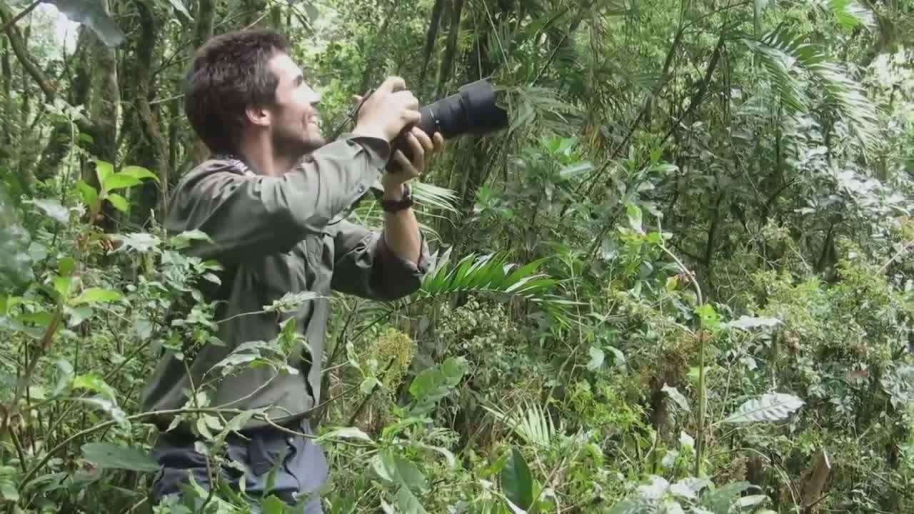 Flying Over The Cloud Forest of Mexico | Wilderness Sessions | BBC Earth
