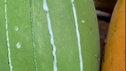Fruits Video Farm Fresh Ninja Fruit Cutting Satisfying Fruit | Amazing Fruits Video #fruits #short