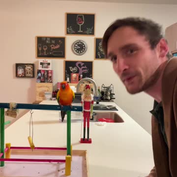 Parrot practices beats with his dad