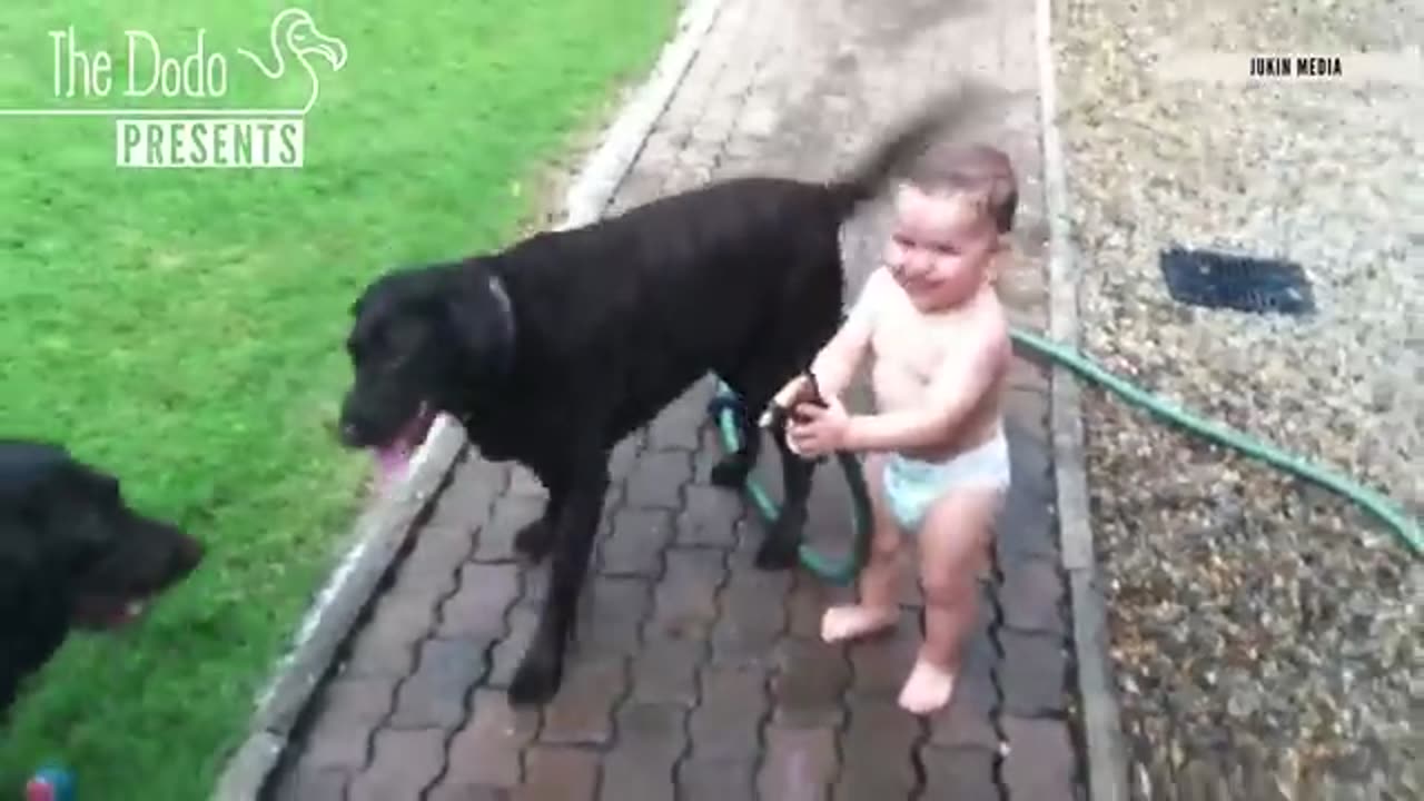 BABY AND PETS RUMBLE JUMBLE