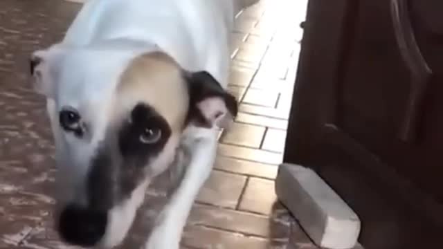 This is Baby