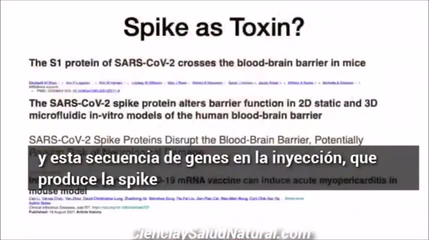 Dr. Ryan Cole. 'Hay micro coagulaciones en la sangre de los vacunados'