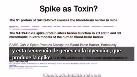 Dr. Ryan Cole. 'Hay micro coagulaciones en la sangre de los vacunados'