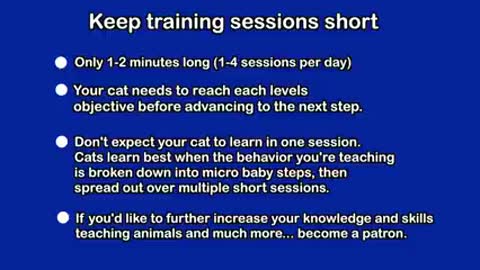 How to train a cats