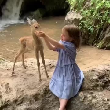 A very good day to everyone