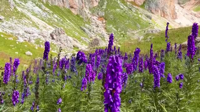 Quiet moments in the Rosengarten Mountains of Trentino